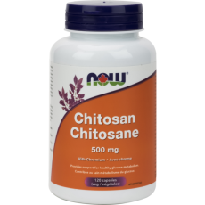 키토산 다이어트 NOW Chitosan 500mg 120 정